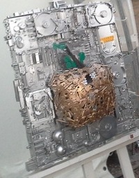 ЗОЛОТОЕ Большое ЯБЛОКО